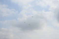 DSCN1755