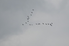 DSCN1802